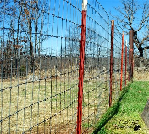 types of goat fencing